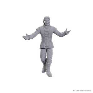 Nolzur's Marvelous Miniatures (unpainted): Special Edition Baldur's Gate 3 — Sarevok Anchev & Raphael
