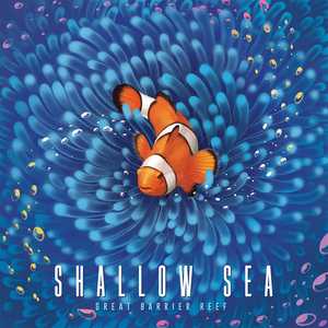 Shallow Sea (EN)