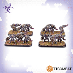 Scourge Eviscerator Assault Troops