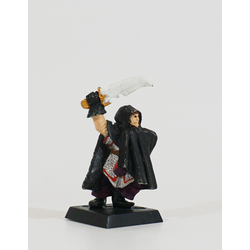 Dark Elves: Assassin (Metall)