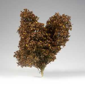 Diorama: Late Fall Filigree Bushes