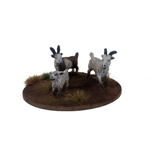 A Tribe of Goats (6)