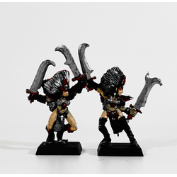 Dark Elves: Witch Elves (2st, Metall)