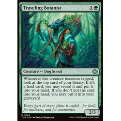 Magic löskort: Tarkir: Dragonstorm: Traveling Botanist