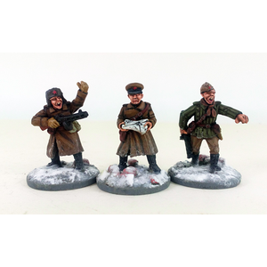 Soviet Stalingrad Veteran Command - Winter Uniform