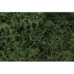 Lichen: Medium Green