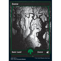 Magic löskort: Innistrad: Midnight Hunt: Forest (v.1)