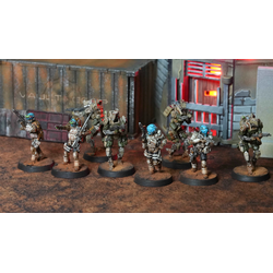 BLKOUT: UN - Raid Team Alpha