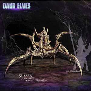 Dark Elves: Slizaarii, Arachnite Chosen Warrior