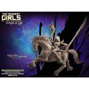 Dark Elves: Vestal Riders - Command Group