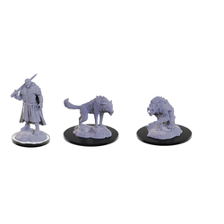 Nolzur's Marvelous Miniatures (unpainted): Loup Garou