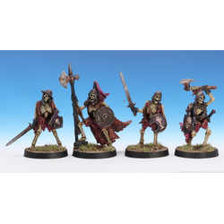 Breninmoor Skeleton Warriors 1
