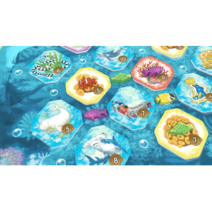 Shallow Sea (EN)