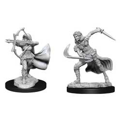 Nolzur's Marvelous Miniatures (unpainted): Air Genasi Female