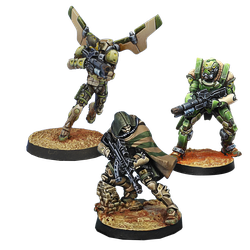 Haqqislam - Hassassin Bahram Expansion Pack Beta