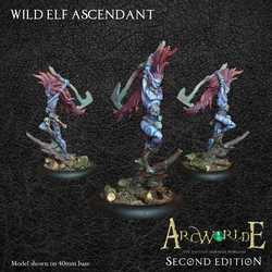 ArcWorlde Second Edition: Wild Elf Ascendant
