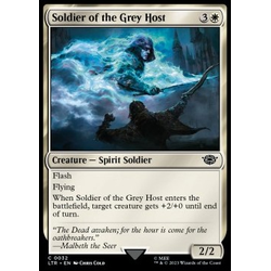 Magic löskort: The Lord of the Rings: Tales of Middle-earth: Soldier of the Grey Host (Foil)