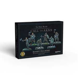 Elder Scrolls Call to Arms - Bandit Pillagers