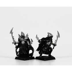 Dark Elves: Corsairs (2st, Metall)