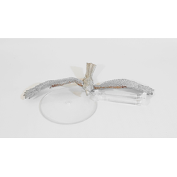 Wood Elves: Great Eagle (Metall)