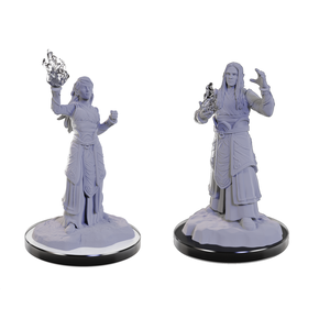 Nolzur's Marvelous Miniatures (unpainted): Elf Wizards
