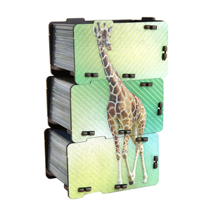 e-Raptor Insert Ark Nova UV Print