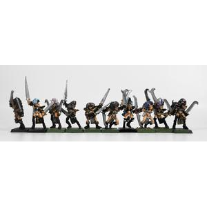Dark Elves: Witch Elves (10st, Metall)
