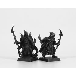Dark Elves: Corsairs (2st, Metall)