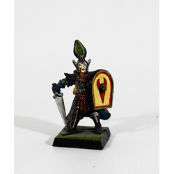 Dark Elves: Warrior (Metall)