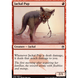 Magic löskort: Masters 25: Jackal Pup