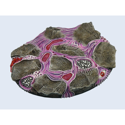Infested Bases, Elipse 120mm (1)