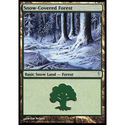 Magic löskort: Coldsnap: Snow-Covered Forest
