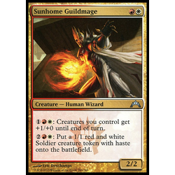 Magic löskort: Gatecrash: Sunhome Guildmage (Foil)