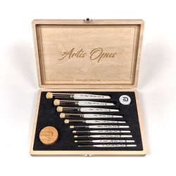 Artis Opus: Series D - Drybrush Set (10 brushes)