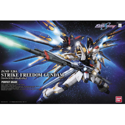 PG Strike Freedom Gundam 1/60