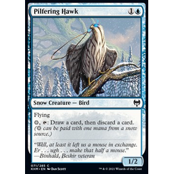 Magic löskort: Kaldheim: Pilfering Hawk