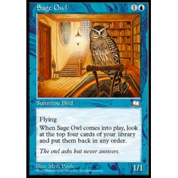 Magic löskort:  Weatherlight: Sage Owl