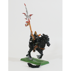 Dark Elves: Dark Riders Standard (Metall)