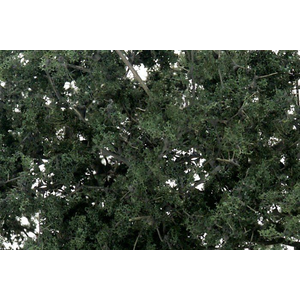 Fine-leaf foliage: Dark Green