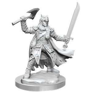 D&D Frameworks: Male Half-Elf Ranger