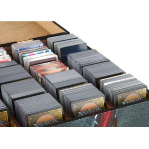 e-Raptor:  Realm Of Magic Card Storage Case- Printed Cover