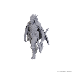 Nolzur's Marvelous Miniatures (unpainted): Dragonborn of Tiamat