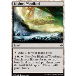 Magic löskort: Battle for Zendikar: Blighted Woodland