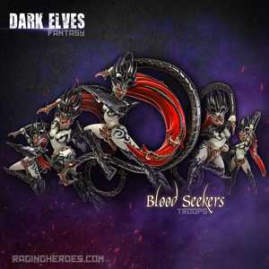 Dark Elves:  Blood Seekers - Troops