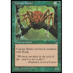 Magic löskort: Tempest: Canopy Spider