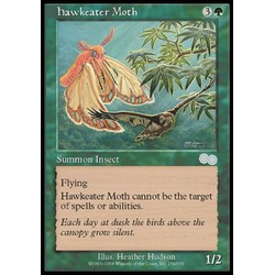 Magic löskort: Urza's Saga: Hawkeater Moth