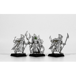 Dark Elves: Corsairs (3st, Metall)