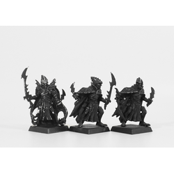 Dark Elves: Corsairs (3st, Metall)