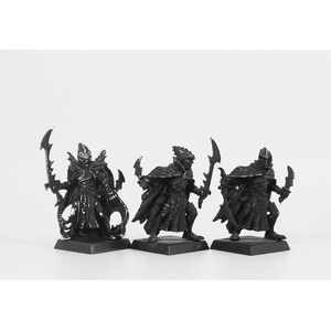Dark Elves: Corsairs (3st, Metall)