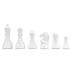 DGT Chess Box